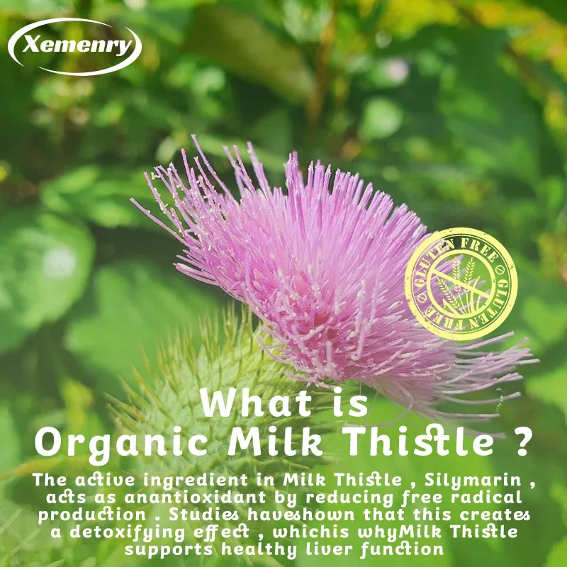 Milk Thistle Capsules 1000mg - - đánh giá và giá Milk Thistle Silymarin