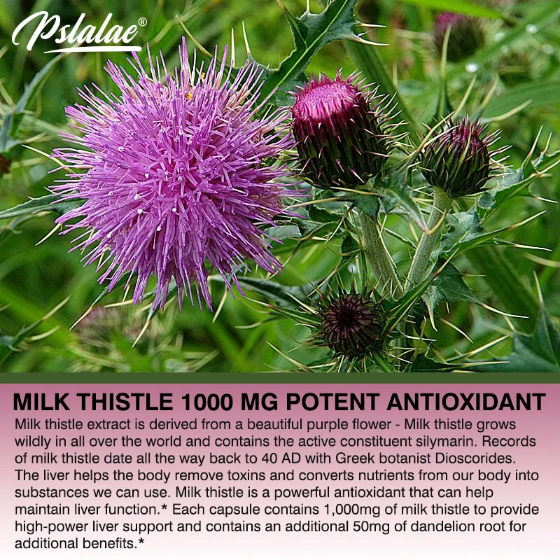 Natural Milk Thistle Supplemen - đánh giá và giá Milk Thistle Silymarin